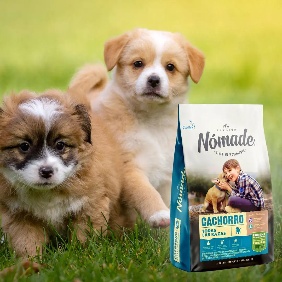 Nómade Cachorro 10kg - Imagen 3