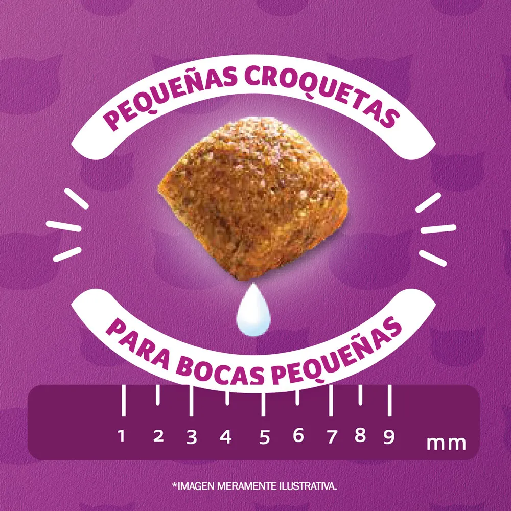 Whiskas Gatito 10kg - Imagen 3