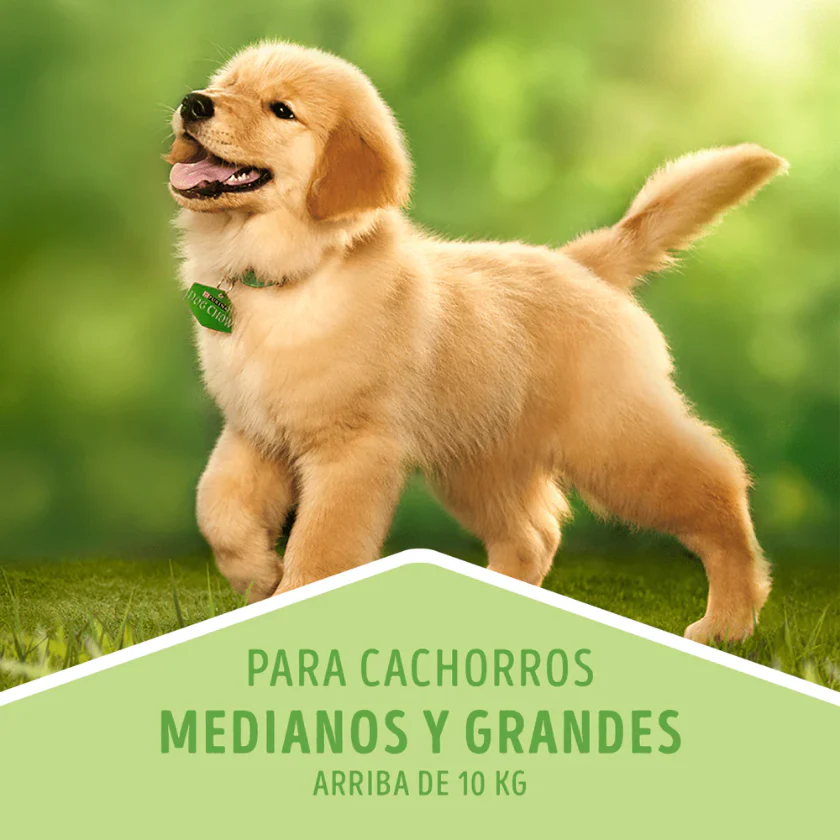 Dog Chow Cachorro 16.5kg - Imagen 2