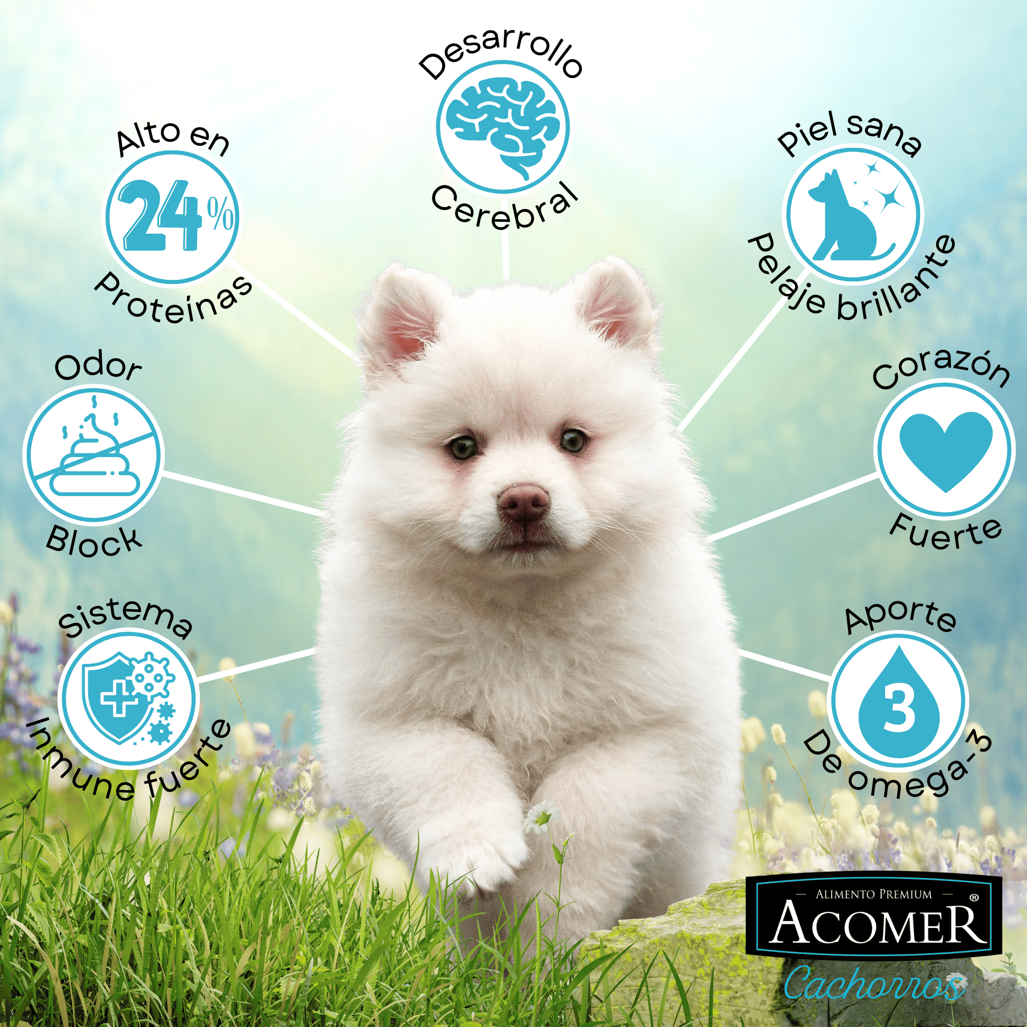 Acomer Cachorro 10kg - Imagen 2