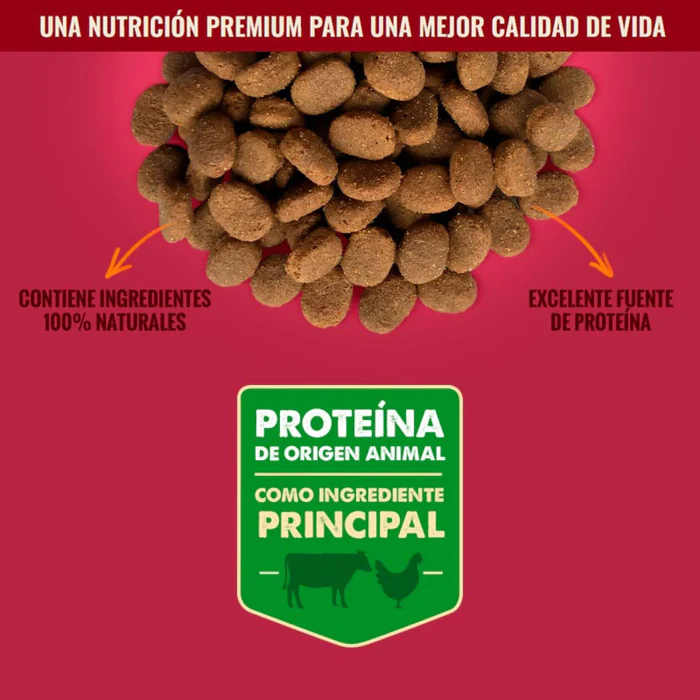 Nómade Perro Adulto 20kg - Imagen 2